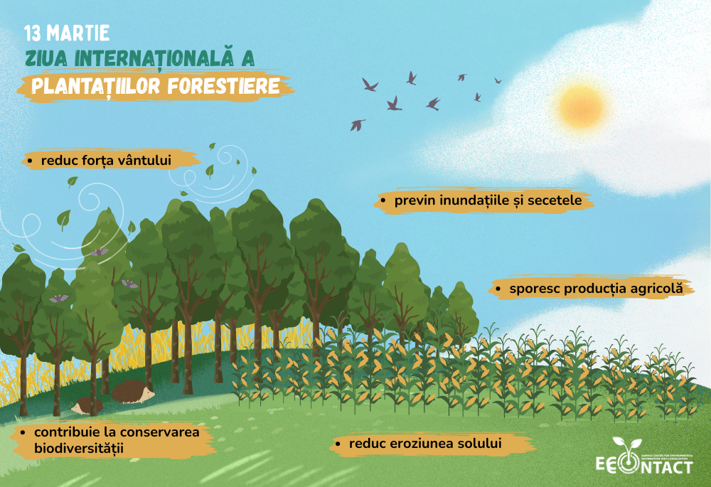 Zplantatiiloforestiere 2024