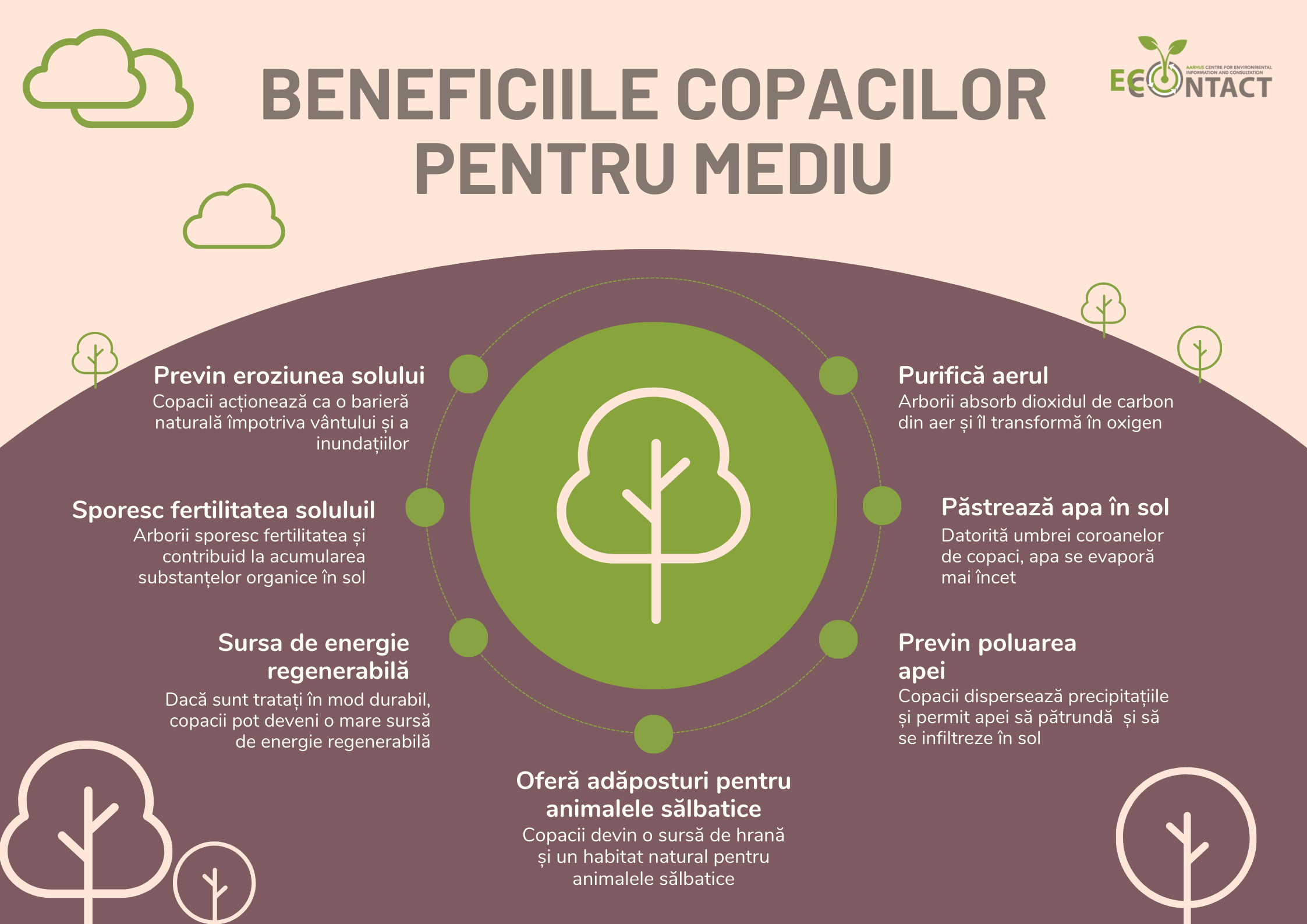 Poster Beneficiile Copacilor